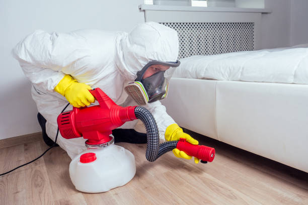 Best Wasp Removal Services  in La Villa, TX