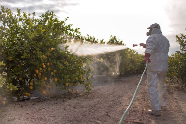 Best Pest Inspection Near Me  in La Villa, TX