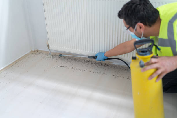 Best Ant Control Services  in La Villa, TX