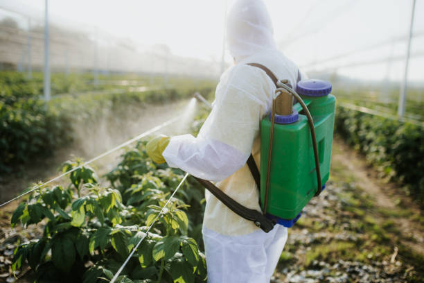 Best Rat Extermination Near Me  in La Villa, TX